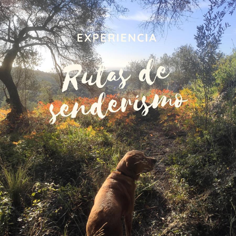 El Hogar De Lucia Villa Casares Kültér fotó